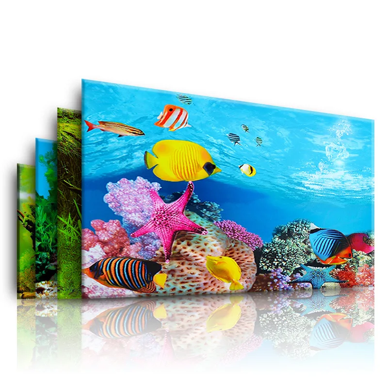 Background for Aquarium 3d  St - Aquarium Innovative Marine 评论和价格