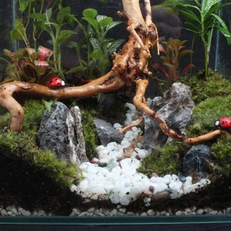 Natural Tree Trunk Driftwood A - Aquarium Innovative Marine 评论和价格