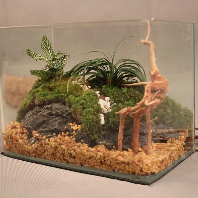 Natural Tree Trunk Driftwood A - Aquarium Innovative Marine 评论和价格