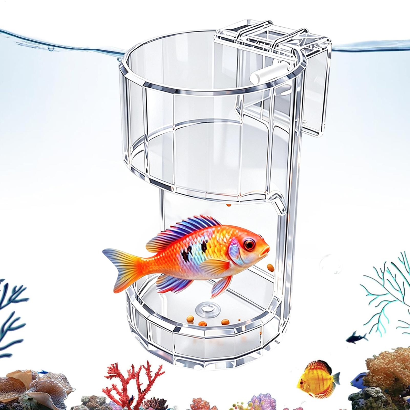 Aquarium Feeding Dish Transpar - Marine Aquarium Live 评论和价格