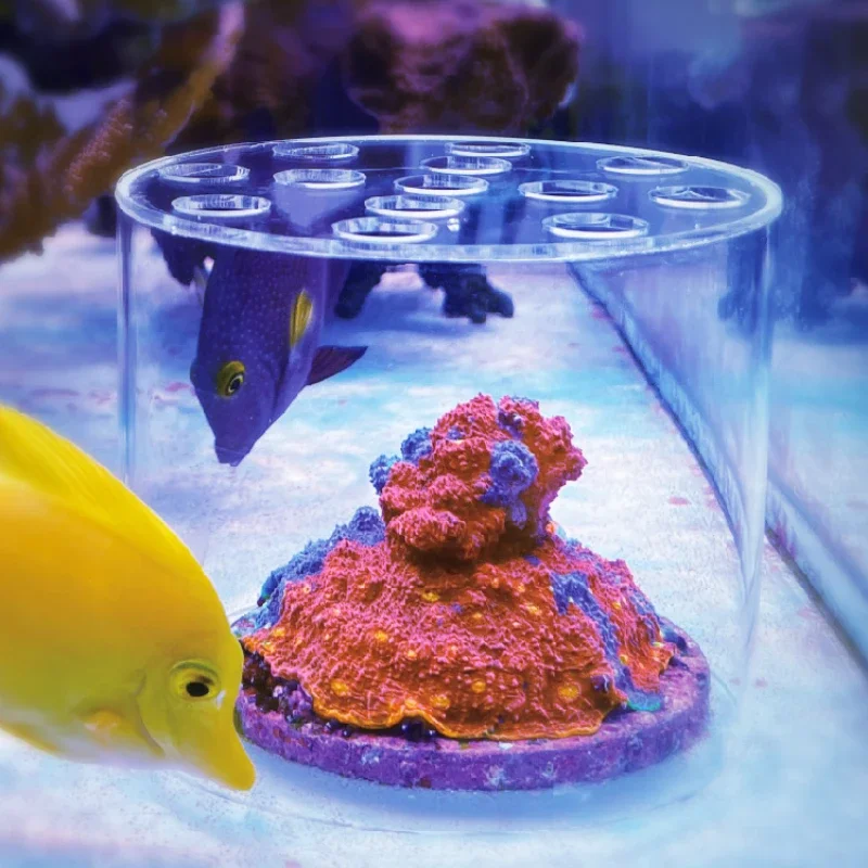 Vastocean Aquarium Arcylic Cor - Marine Aquarium Reef 评论和价格