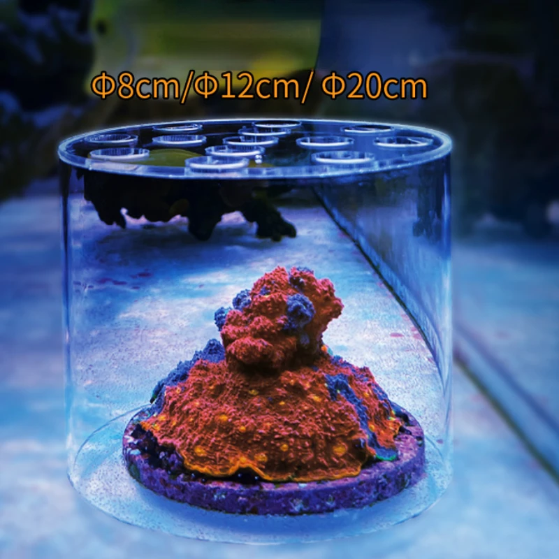 Vastocean Aquarium Arcylic Cor - Marine Aquarium Reef 评论和价格