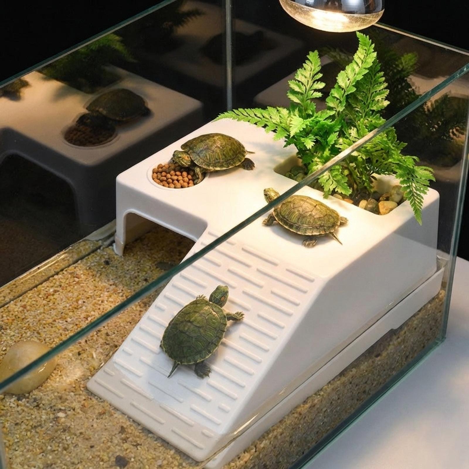 Turtle Resting Basking Platfor - Aquarium Innovative Marine 评论和价格