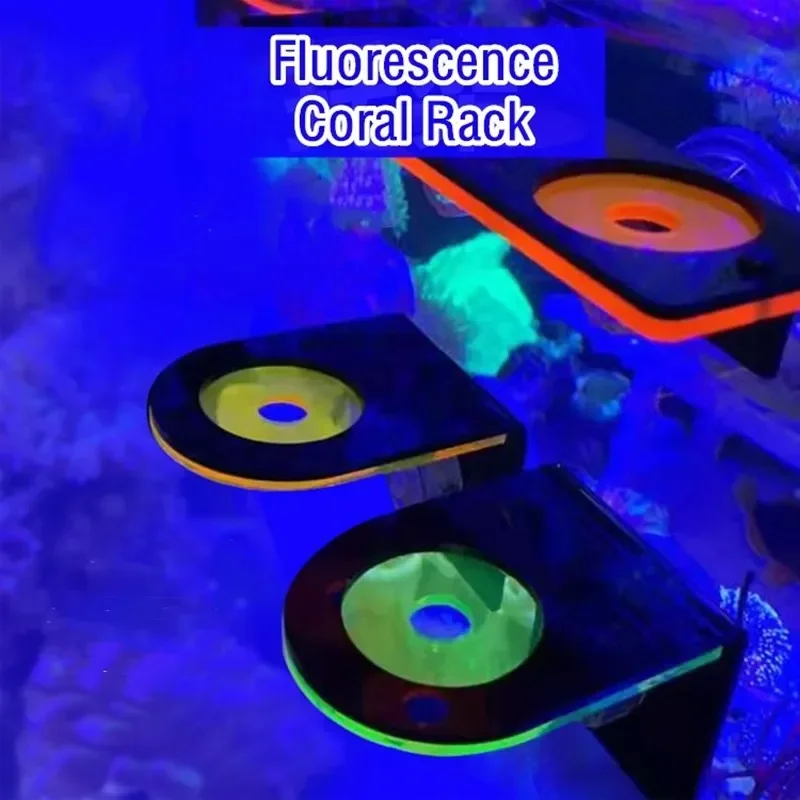 Fish Tank Acrylic Fluorescent  - Marine Aquarium Reef 评论和价格