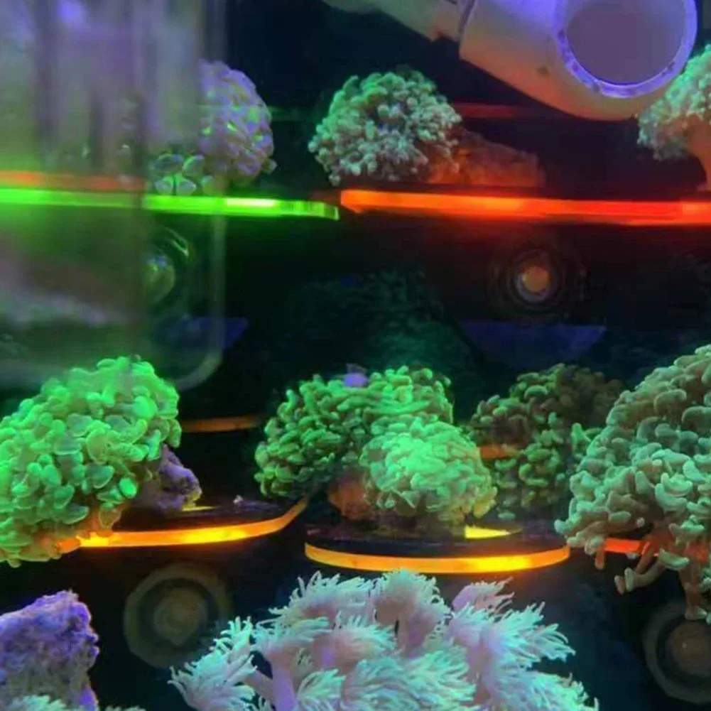 Fish Tank Acrylic Fluorescent  - Marine Aquarium Reef 评论和价格