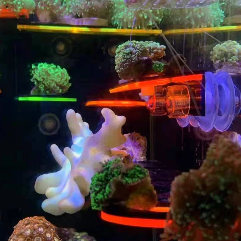 Fish Tank Acrylic Fluorescent  - Marine Aquarium Reef 评论和价格