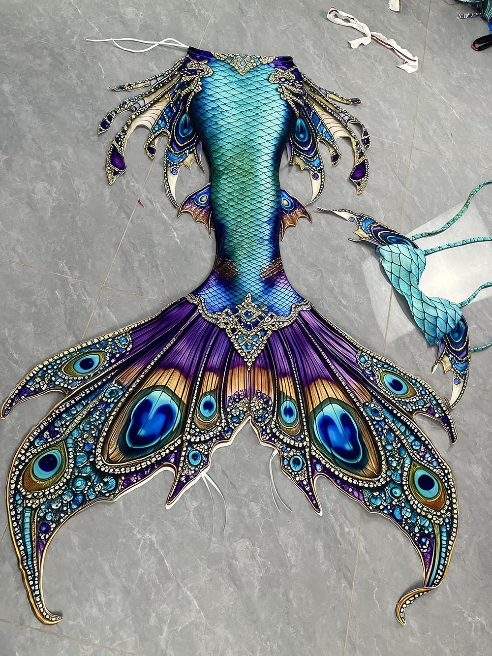 New Pattern Mermaid Tail Merma - Aquarium & Marine Museum Universiti Malaysia Sabah Kota Kinabalu Sabah Photos 评论和价格