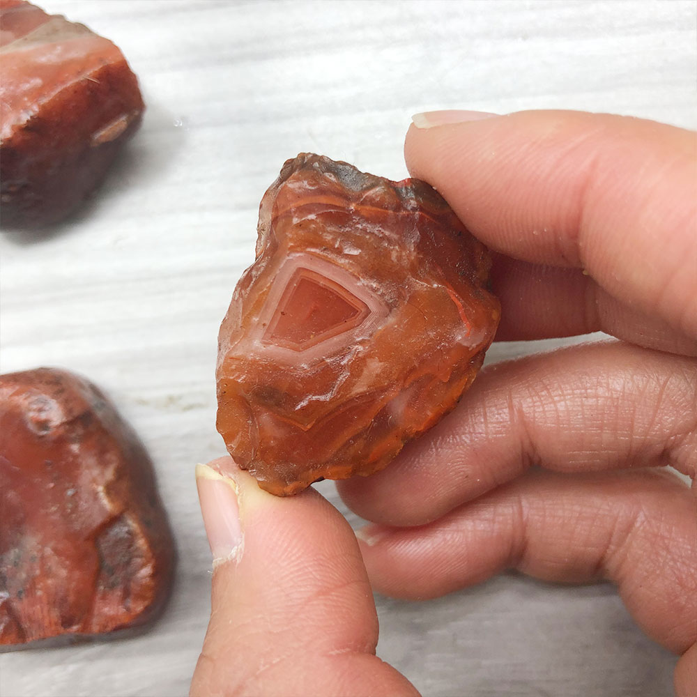 1pc Random Rough Raw Carnelian - Aquarium Innovative Marine 评论和价格