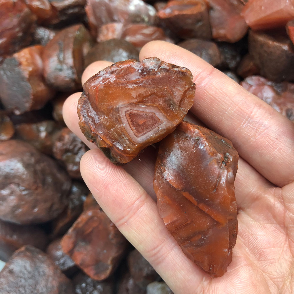 1pc Random Rough Raw Carnelian - Aquarium Innovative Marine 评论和价格