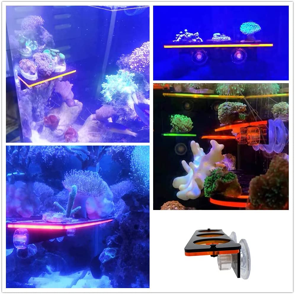 Fluorescent Coral Frag Plug Br - Aquarium Innovative Marine 评论和价格