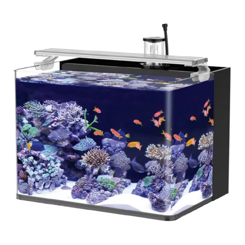 Table Curved Saltwater Marine  - Marine Aquarium Live 评论和价格