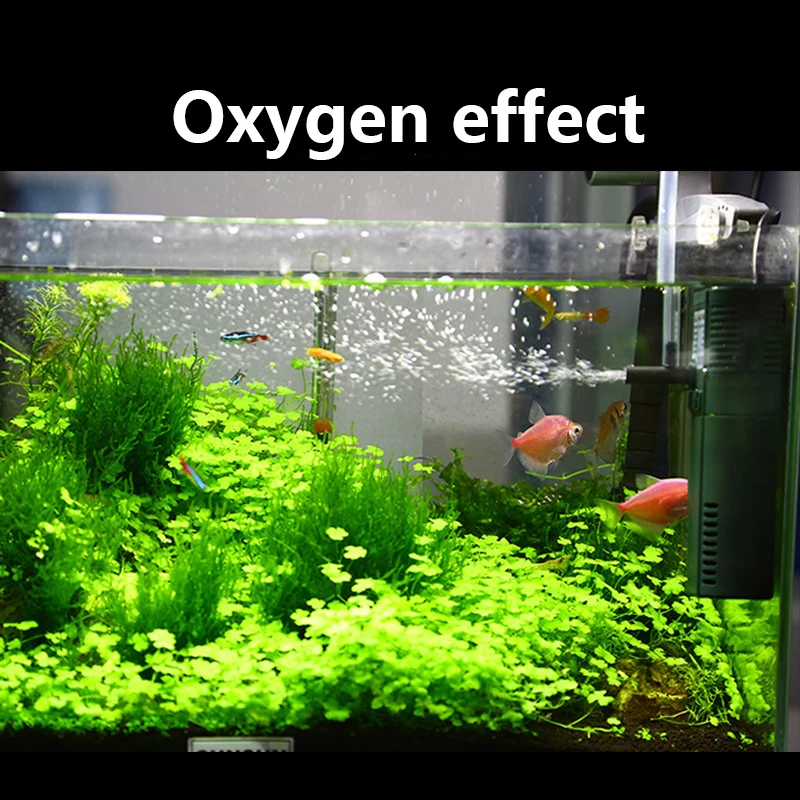 SUNSUN mini nano 111B 311B 611 - Marine Aquarium Hardscape 评论和价格